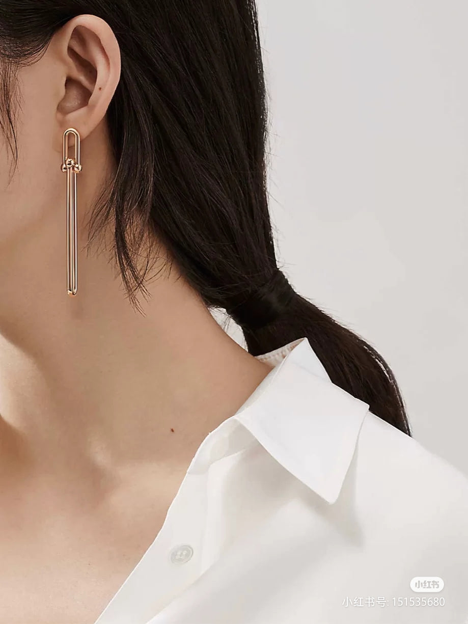 [Haelin Jewelry]HARDWEAR DOUBLE LONG LINK EARRINGS