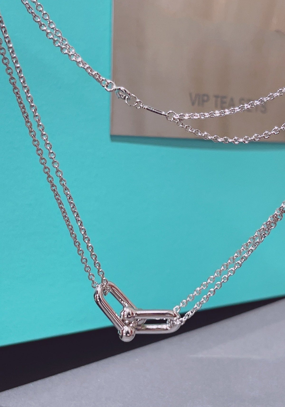 [Haelin Jewelry]HARDWEAR DOUBLE LINK PEDANT SILVER NECKLACE
