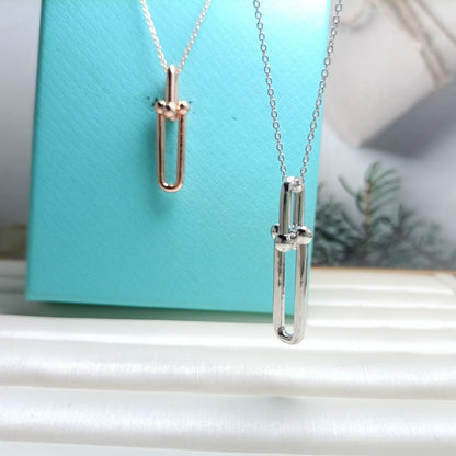 [Haelin Jewelry]HARDWEAR DROP DOUBLE LINK PEDANT NECKLACE