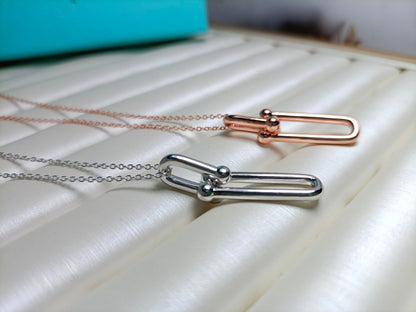 [Haelin Jewelry]HARDWEAR DROP DOUBLE LINK PEDANT NECKLACE