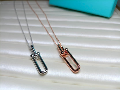 [Haelin Jewelry]HARDWEAR DROP DOUBLE LINK PEDANT NECKLACE