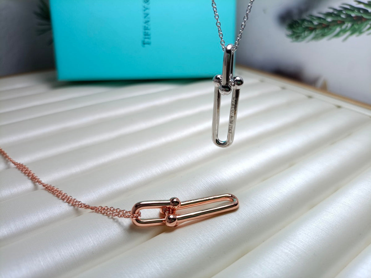 [Haelin Jewelry]HARDWEAR DROP DOUBLE LINK PEDANT NECKLACE
