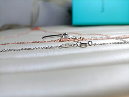 [Haelin Jewelry]HARDWEAR DROP DOUBLE LINK PEDANT NECKLACE