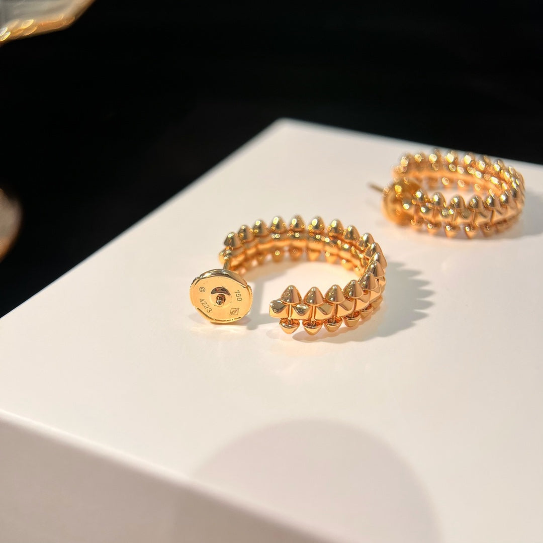 [⭐Haelin Jewelry]CLASH EARRINGS