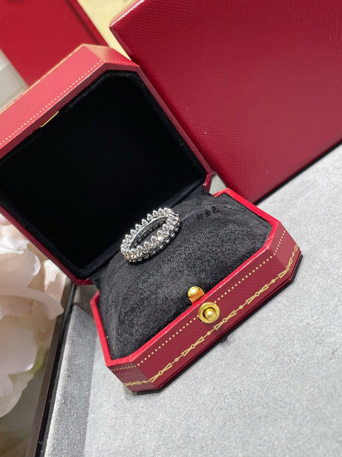 [⭐Haelin Jewelry]CLASH 5.5MM RING