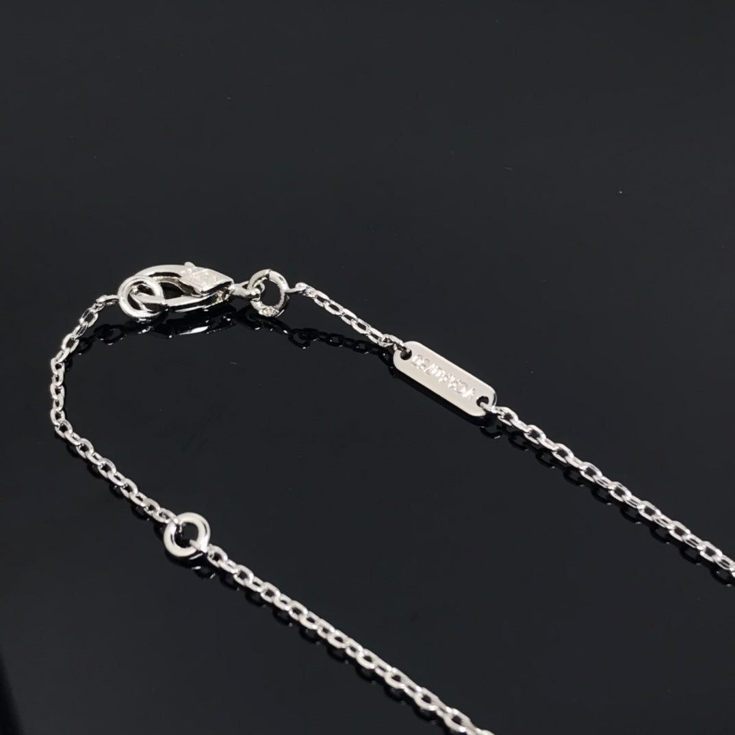 [⭐Haelin Jewelry]CLOVER PIETERSITE SILVER LONG NECKLACE