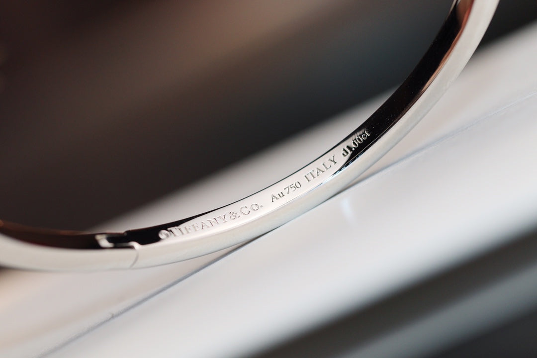 [Haelin Jewelry]NARROW T1 HINGED BANGLE DIAMOND SILVER