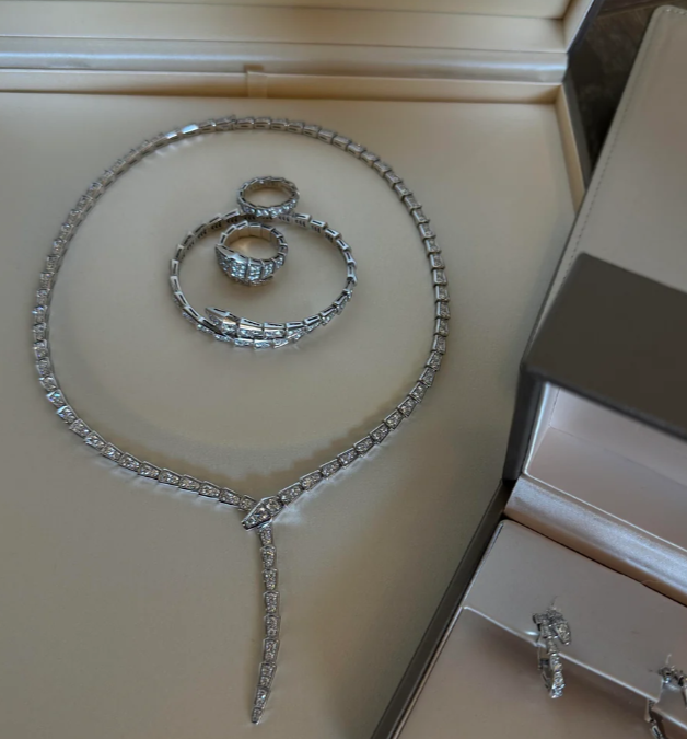 [⭐Haelin Jewelry]NEW！SERPENT DIAMOND NECKLACE