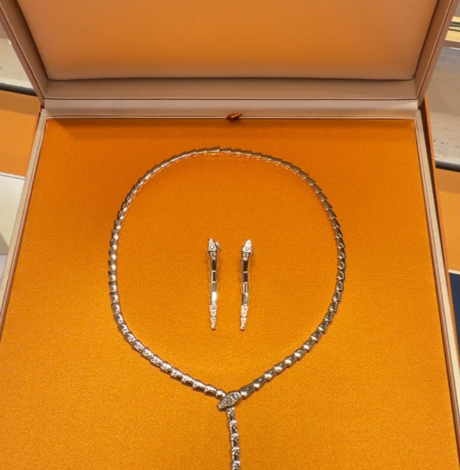 [⭐Haelin Jewelry]NEW！SERPENT DIAMOND NECKLACE