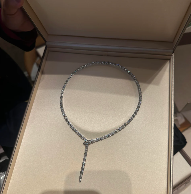 [⭐Haelin Jewelry]NEW！SERPENT DIAMOND NECKLACE