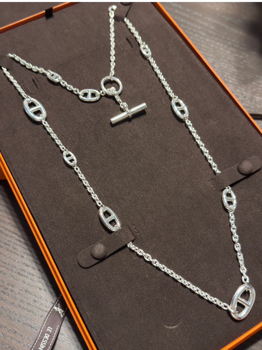 [⭐Haelin Jewelry]Classic Silver Sweater Chain