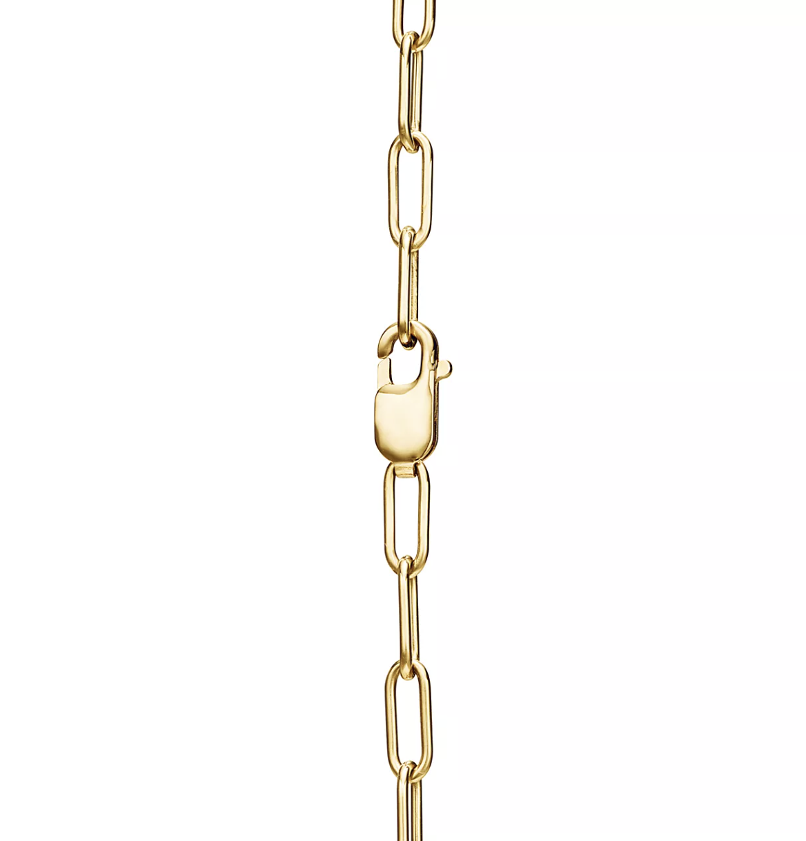 [Haelin Jewelry]LOCK NECKLACE GOLD