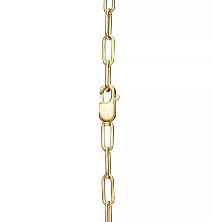 [Haelin Jewelry]LOCK NECKLACE GOLD