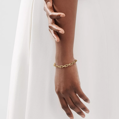 [Haelin Jewelry]HARDWEAR SMALL LINK 26 MOTIF GOLD BRACELET