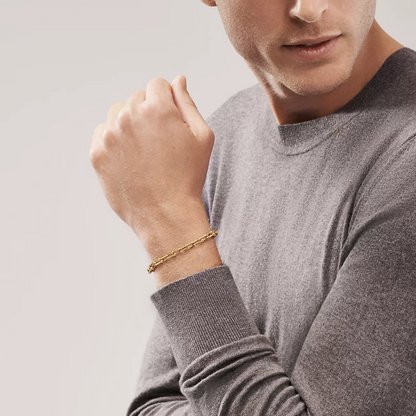 [Haelin Jewelry]HARDWEAR SMALL LINK 26 MOTIF GOLD BRACELET