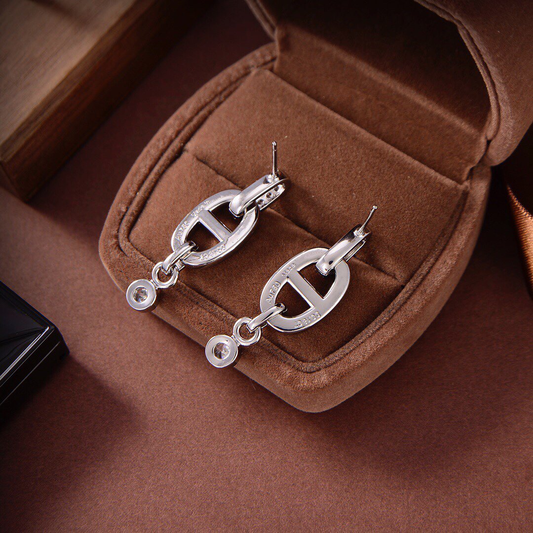 [⭐Haelin Jewelry]HM CHAINE DIAMOND EARRINGS