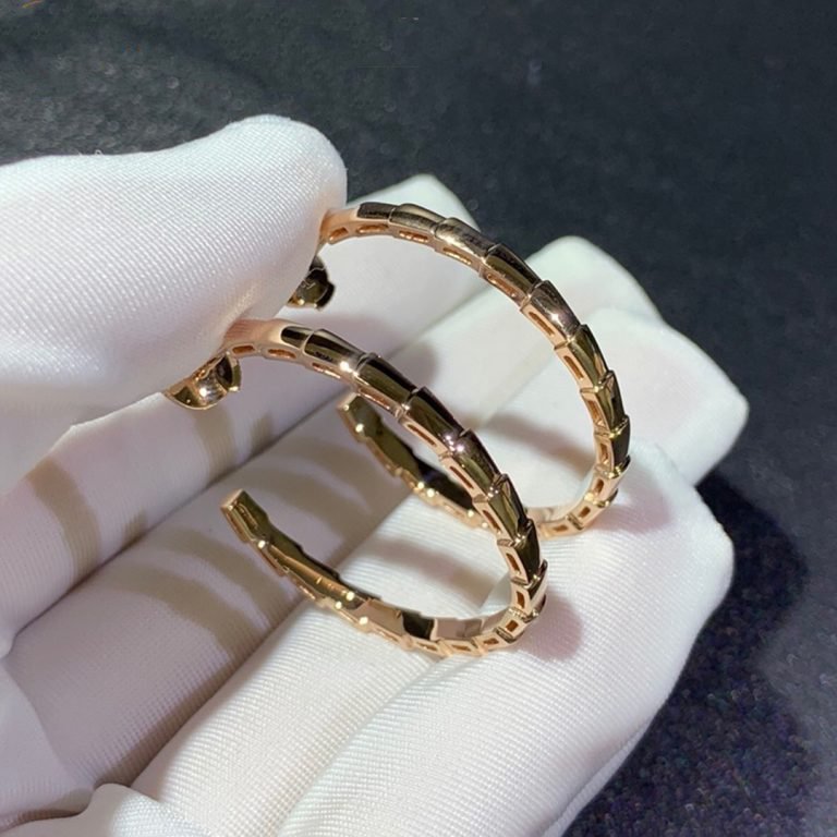 [⭐Haelin Jewelry]SERPENTI EARRINGS