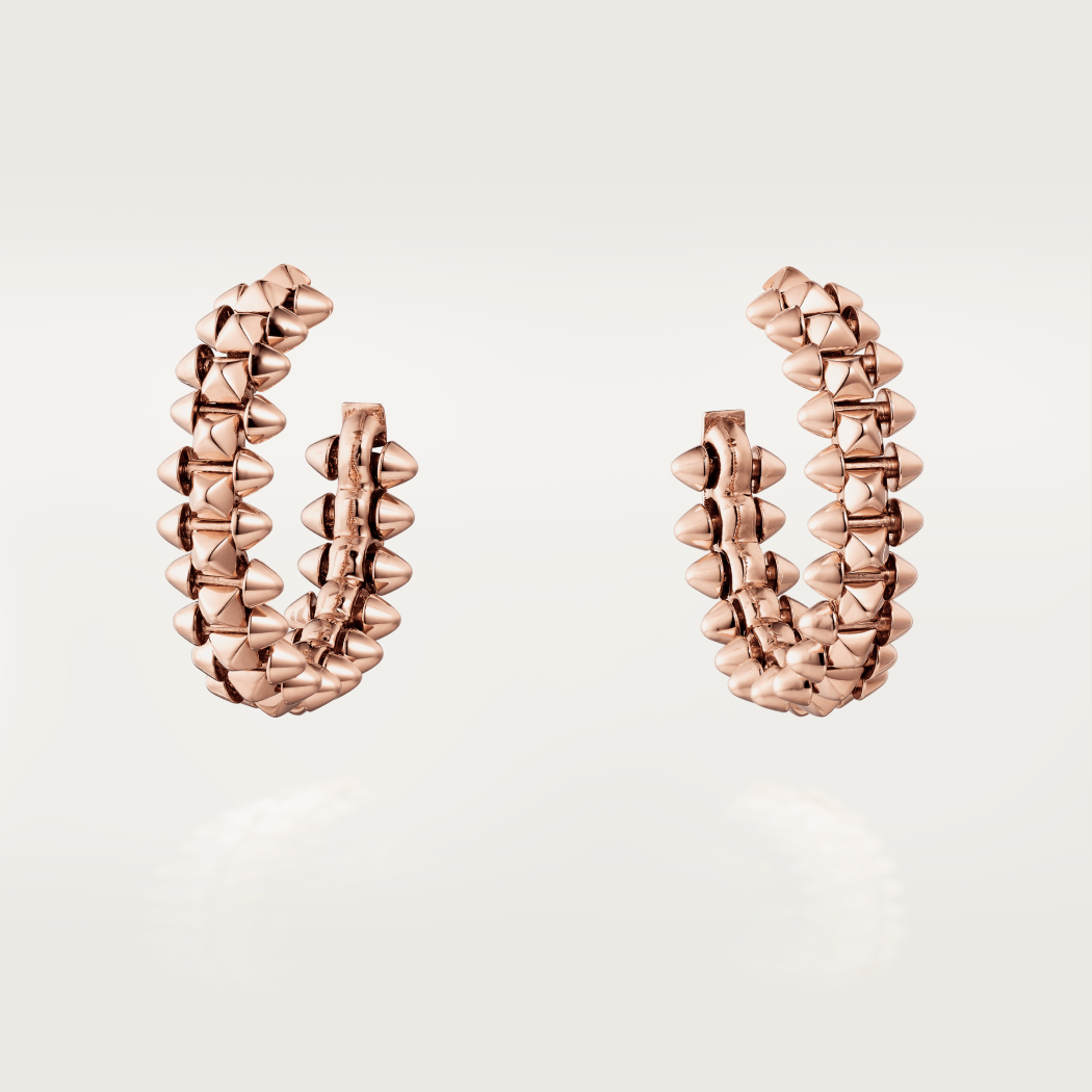 [⭐Haelin Jewelry]CLASH SMALL HOOP EARRINGS