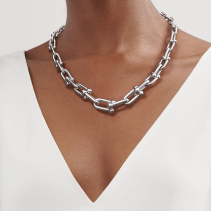 [Haelin Jewelry]HARDWEAR SILVER CHOKER