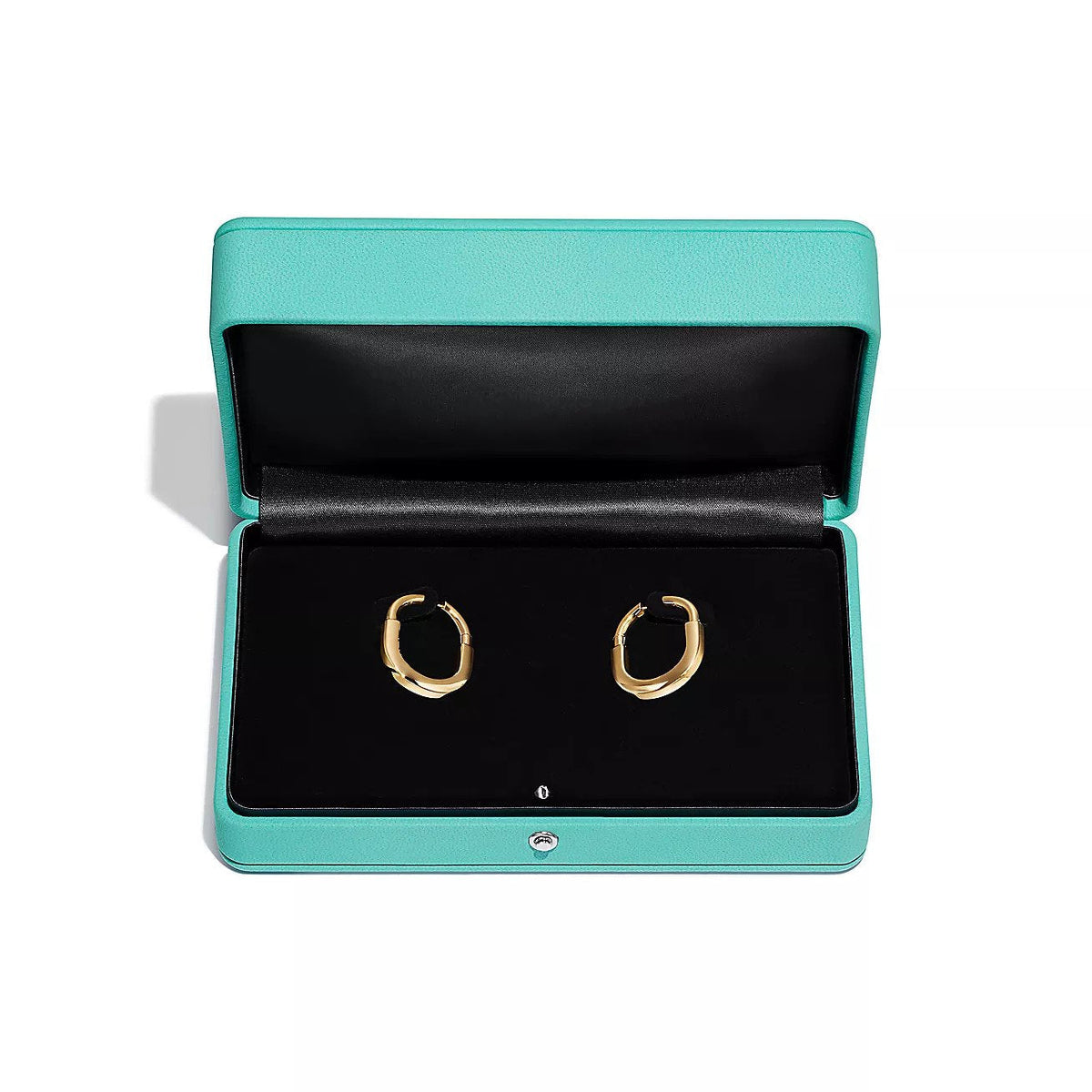 [Haelin Jewelry]LOCK MEDIUM EARRINGS