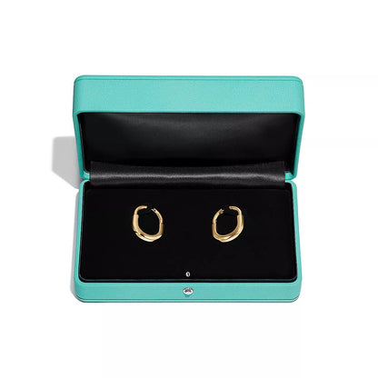 [Haelin Jewelry]LOCK MEDIUM EARRINGS