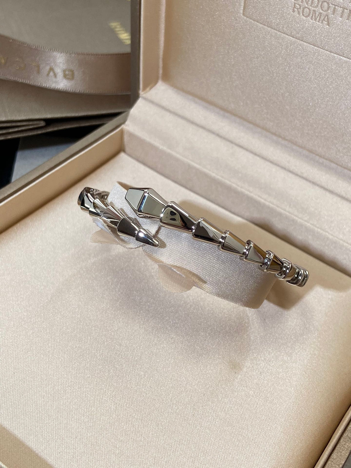 [⭐Haelin Jewelry]SERPENTI VIPER SILVER BRACELET