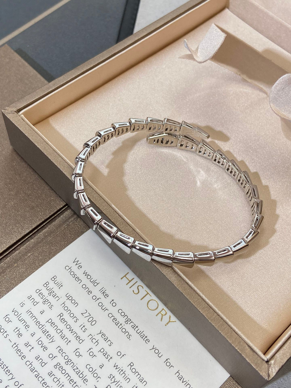 [⭐Haelin Jewelry]SERPENTI VIPER SILVER BRACELET
