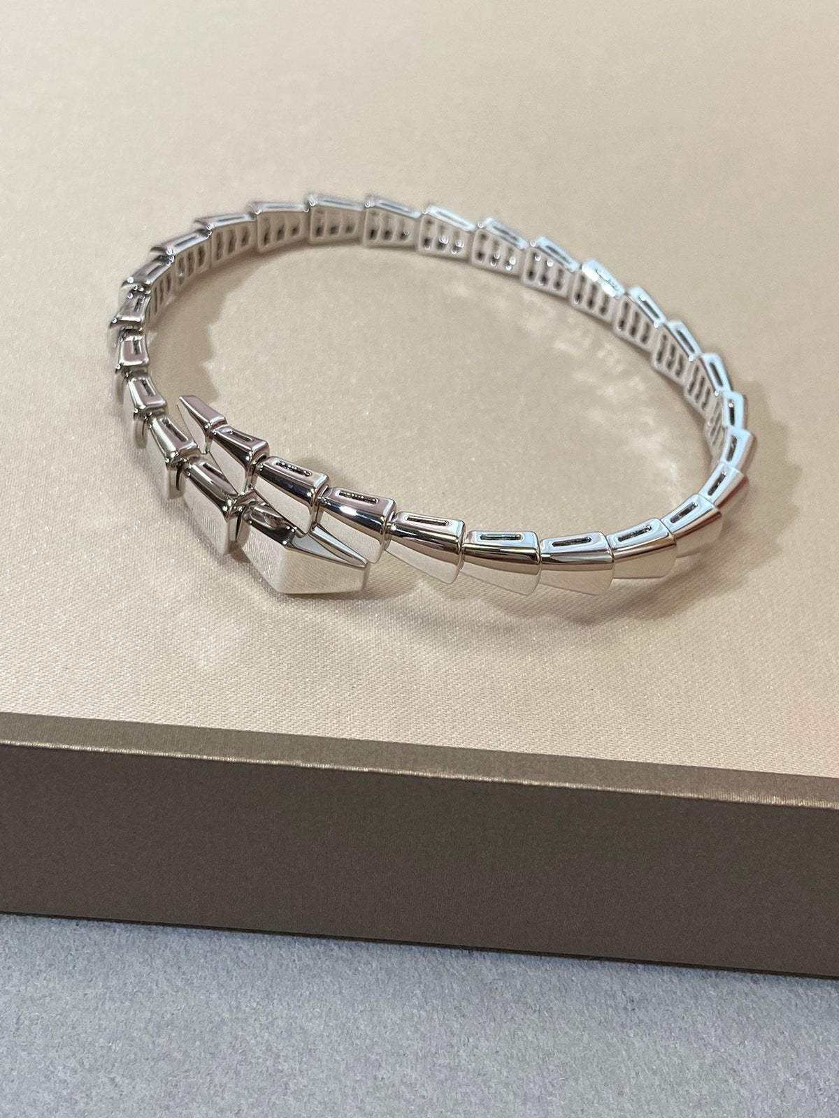 [⭐Haelin Jewelry]SERPENTI VIPER SILVER BRACELET